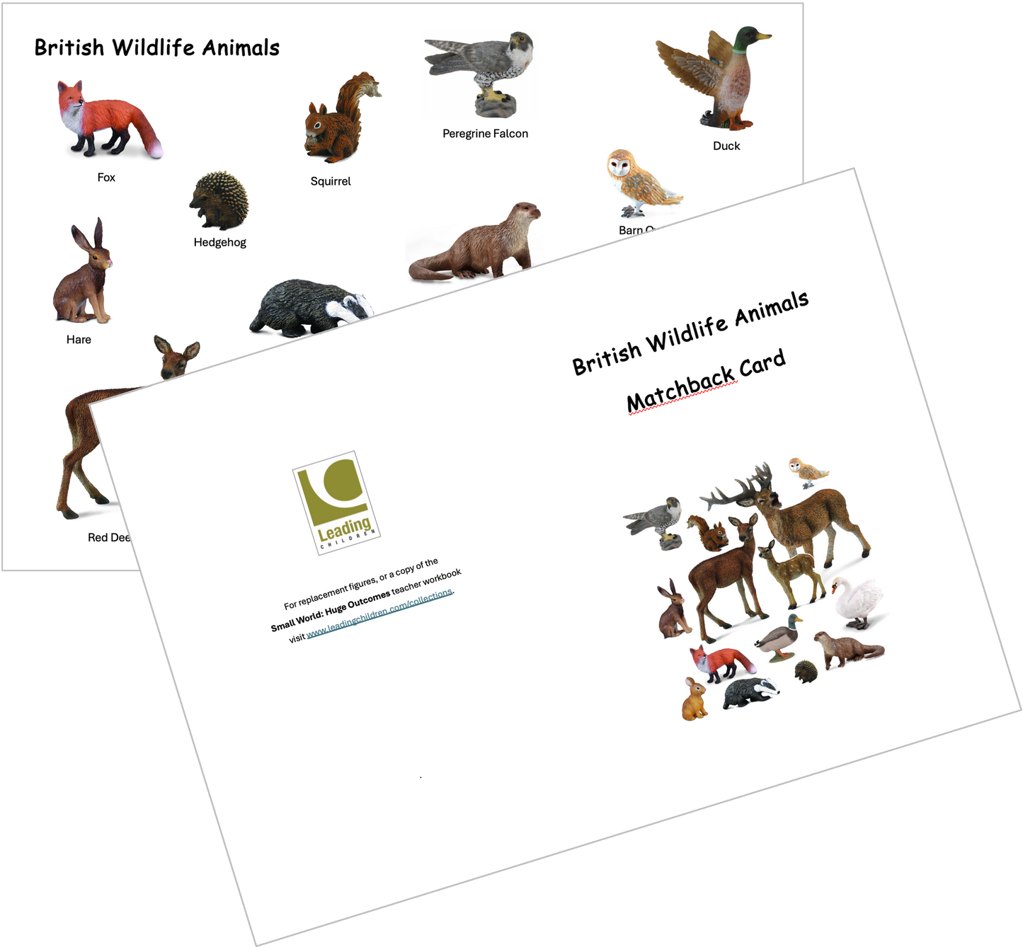 British Wildlife Animals Matchback Card