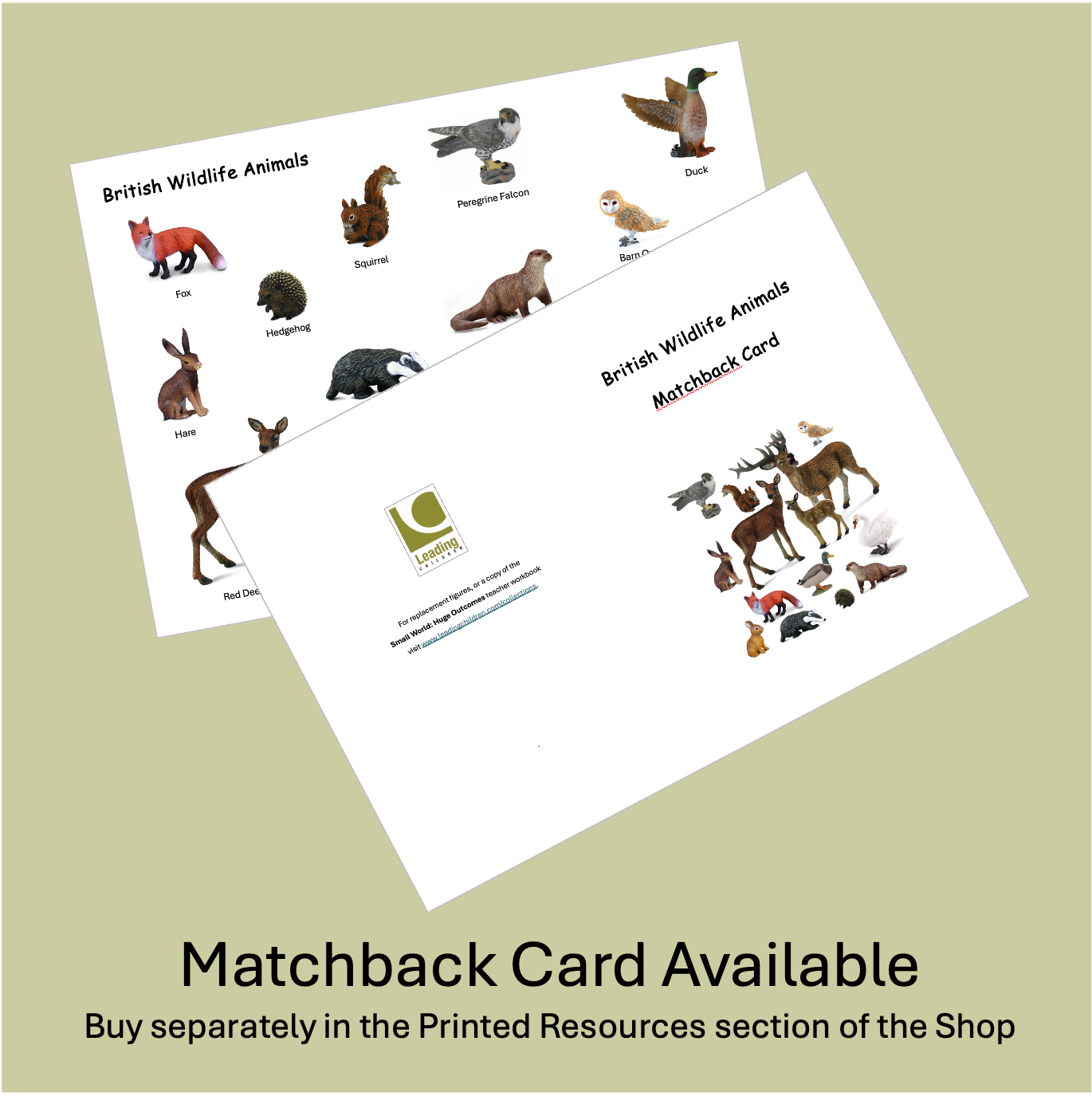 Set- British Wildlife Animals