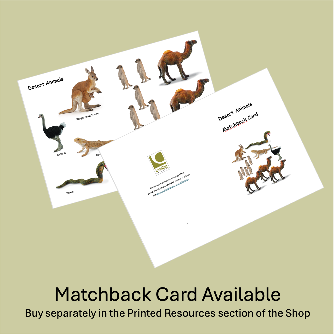 Set- Desert Animals (13pc)