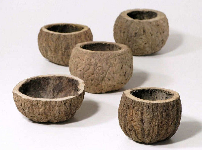 Ourico Cave - Individual