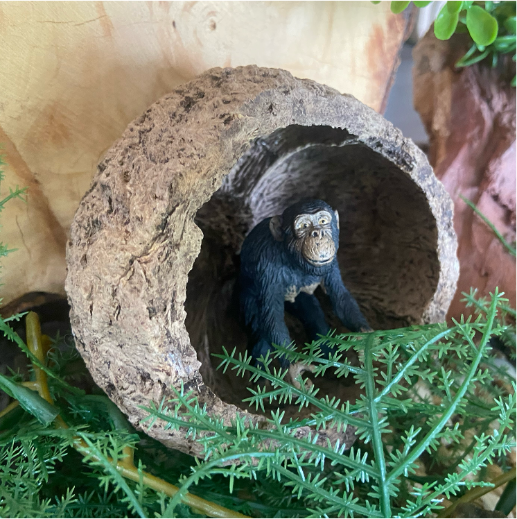 Ourico Cave - Individual