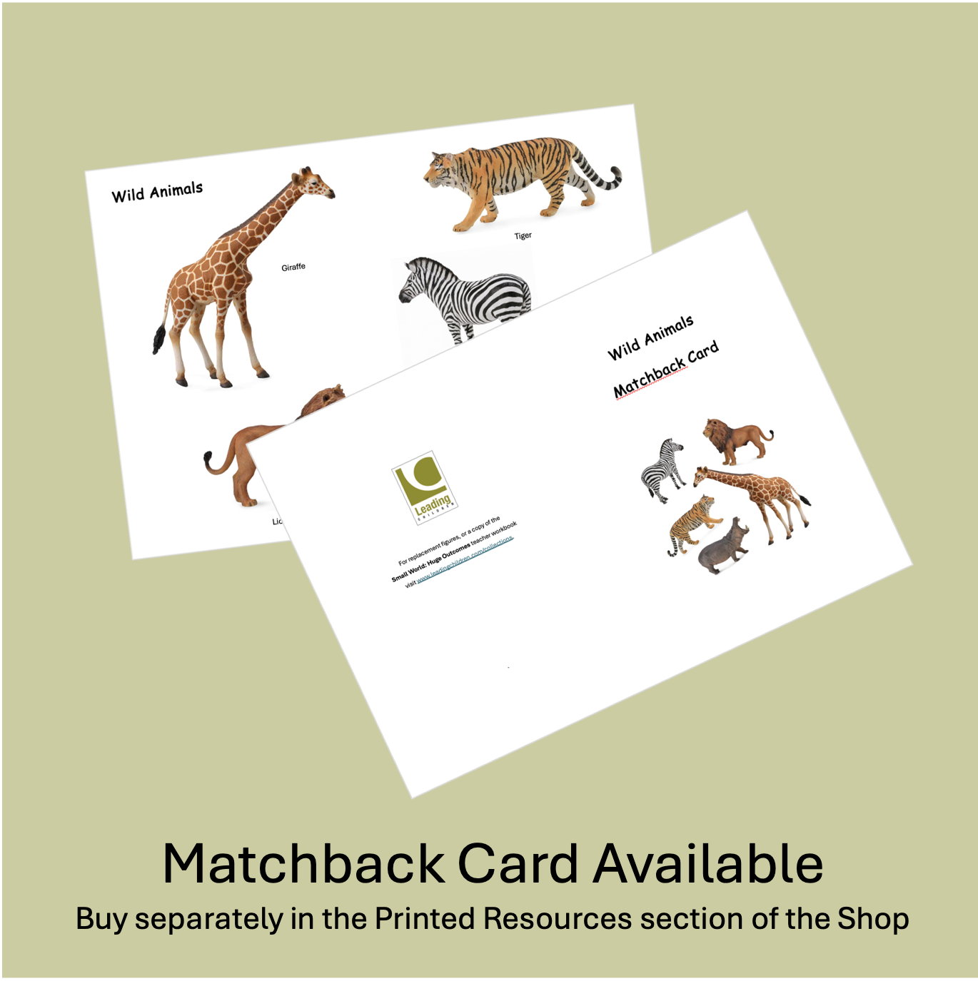 Set- Wild Animals (Small)