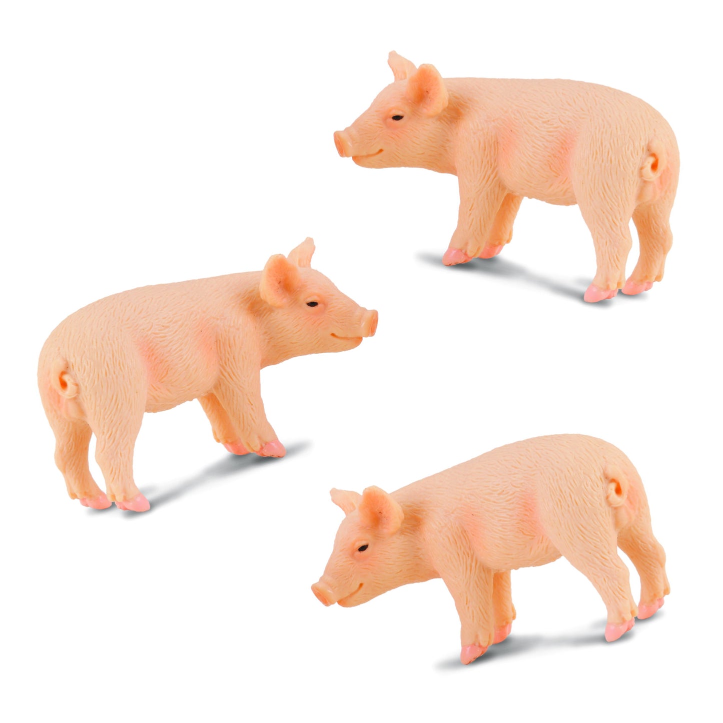 3 Little Pigs