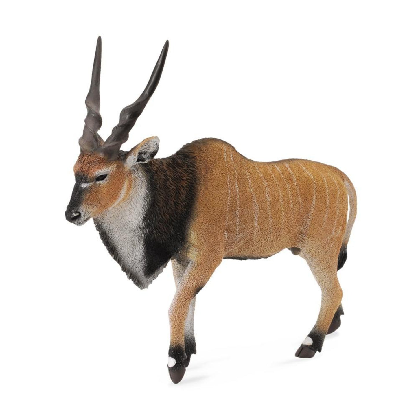 Antelope