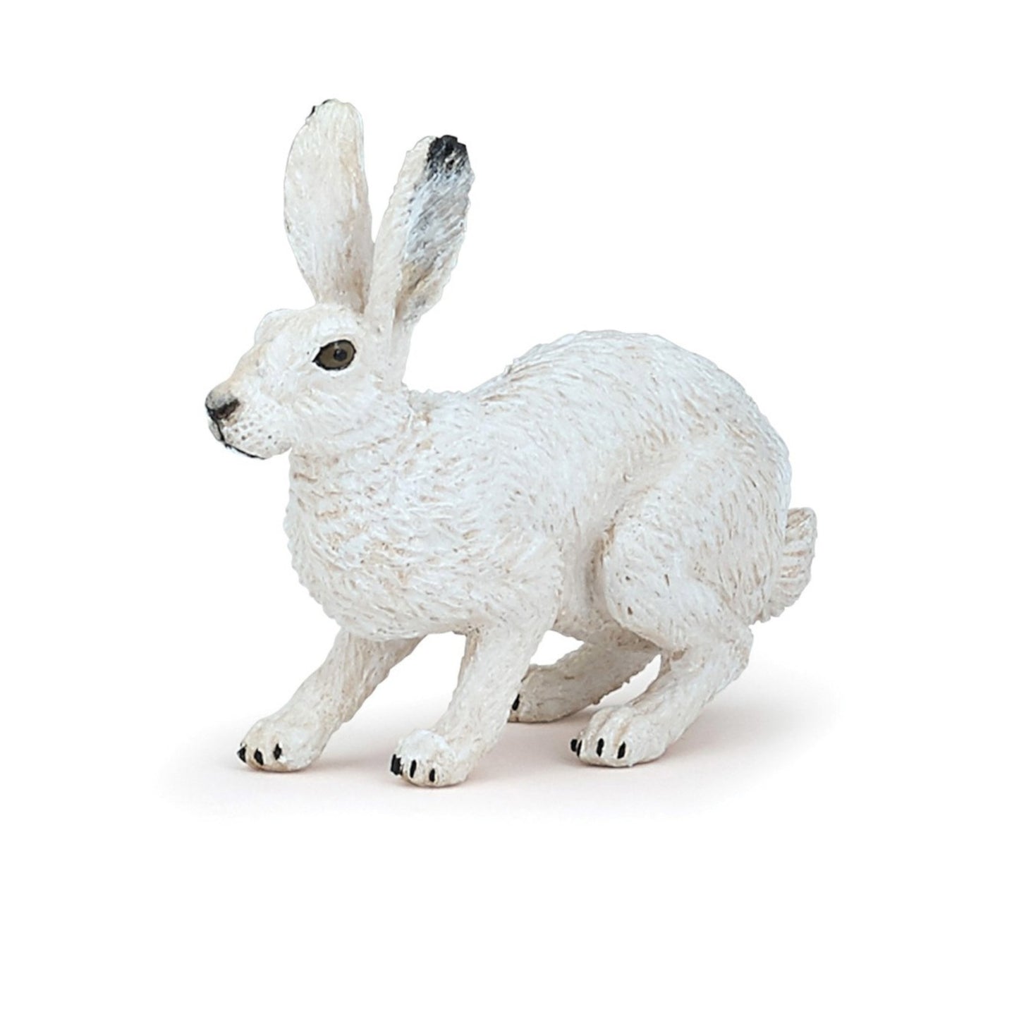 Arctic Hare