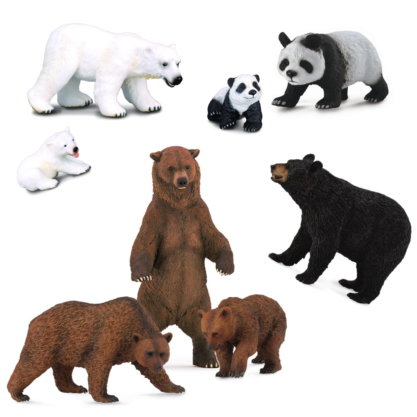 Bear Collection
