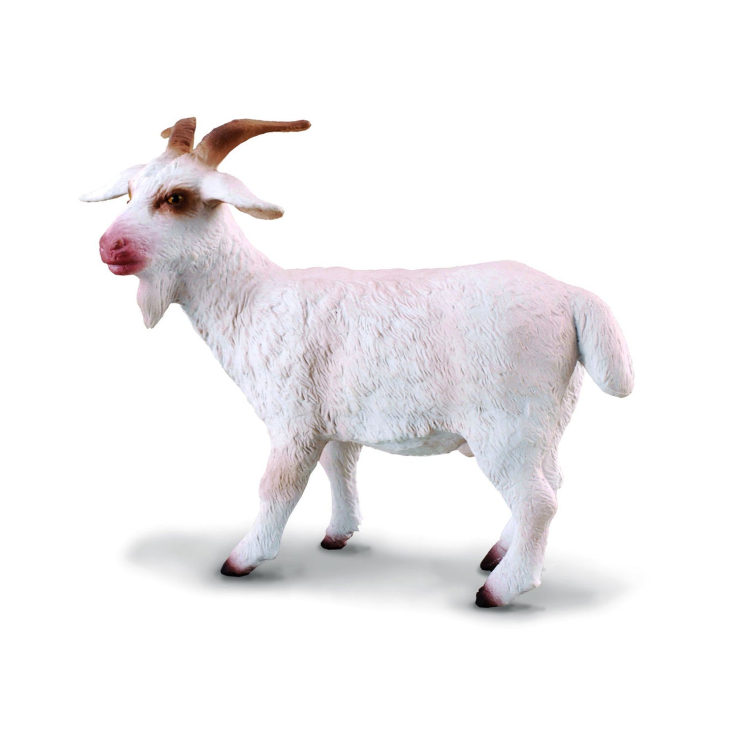 Billy Goat