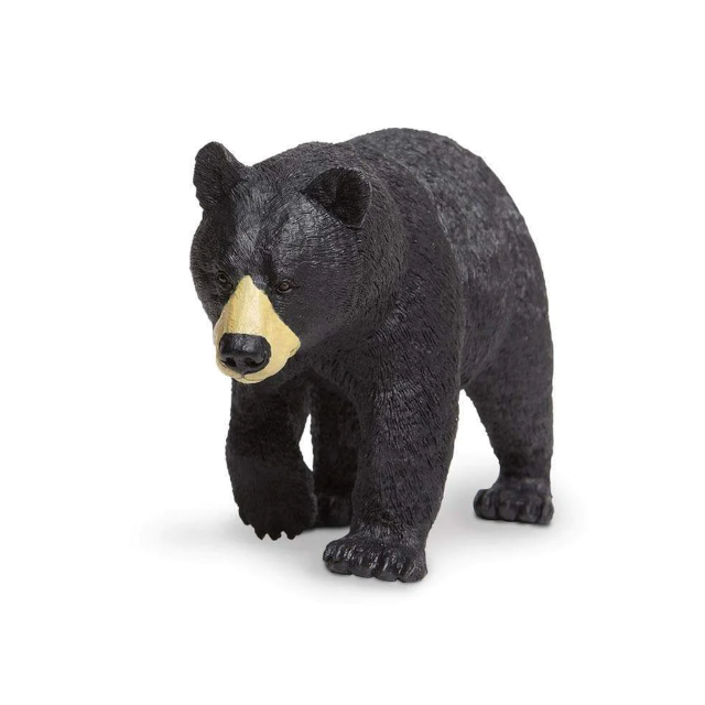 Black Bear