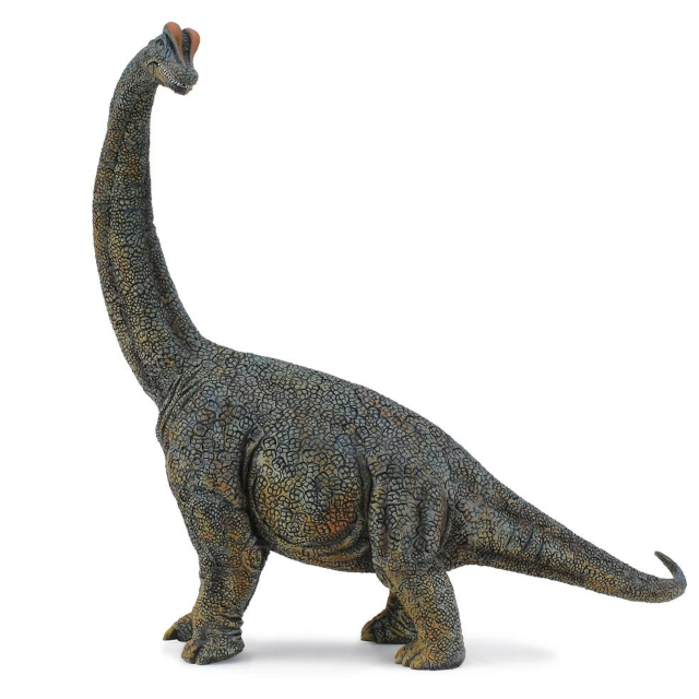 Brachiosaurus