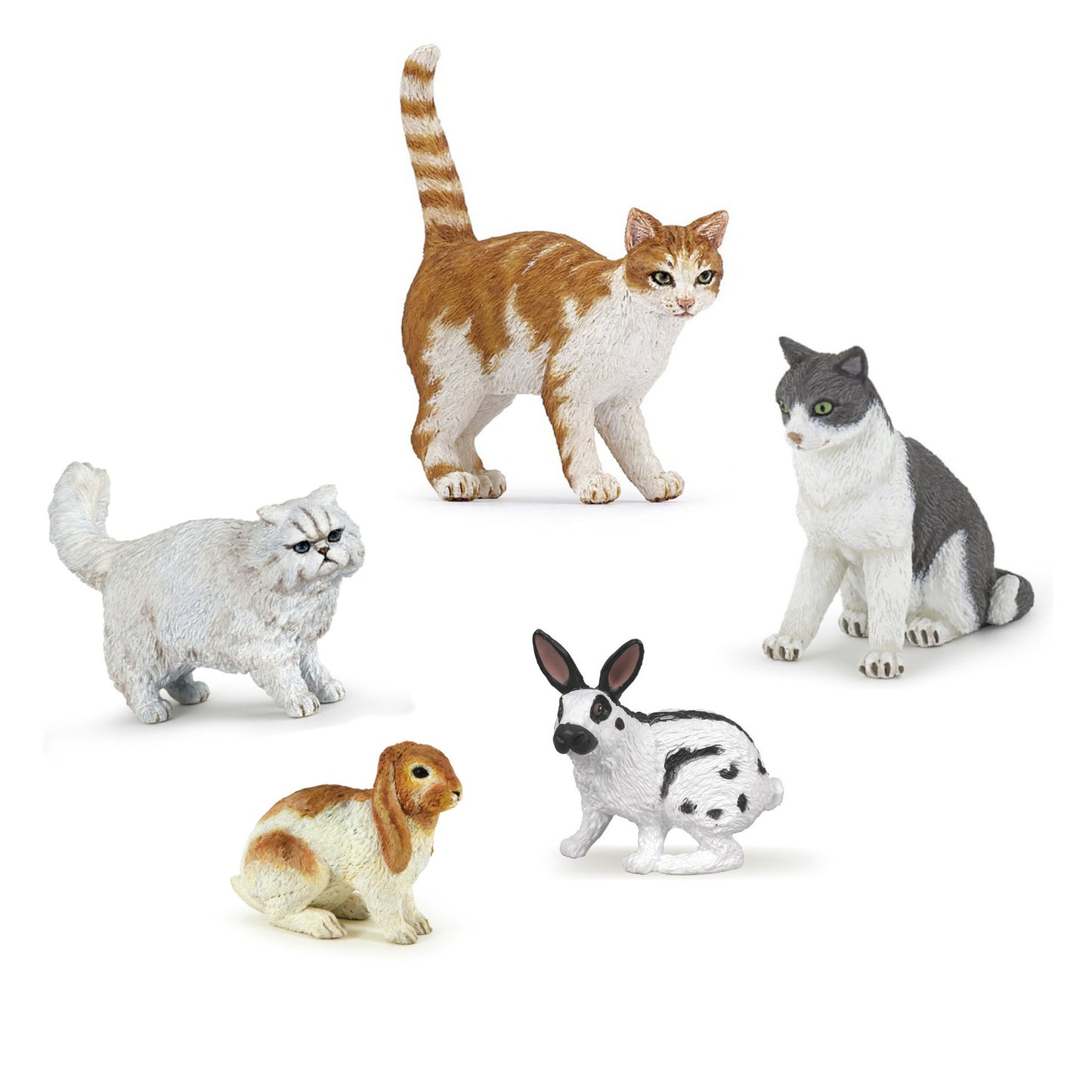Cats and Rabbits