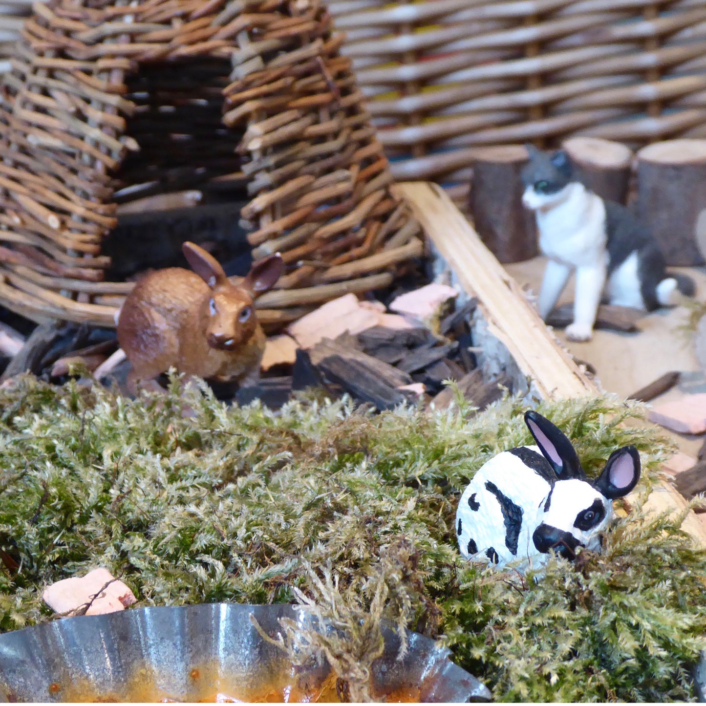 Cats and Rabbits2