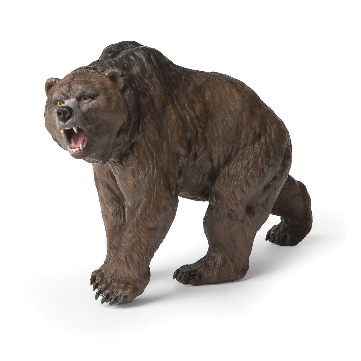 Cave Bear