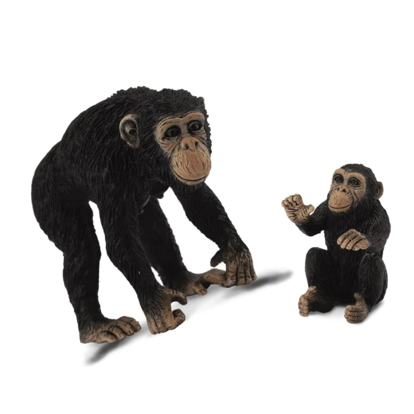 Chimp Family