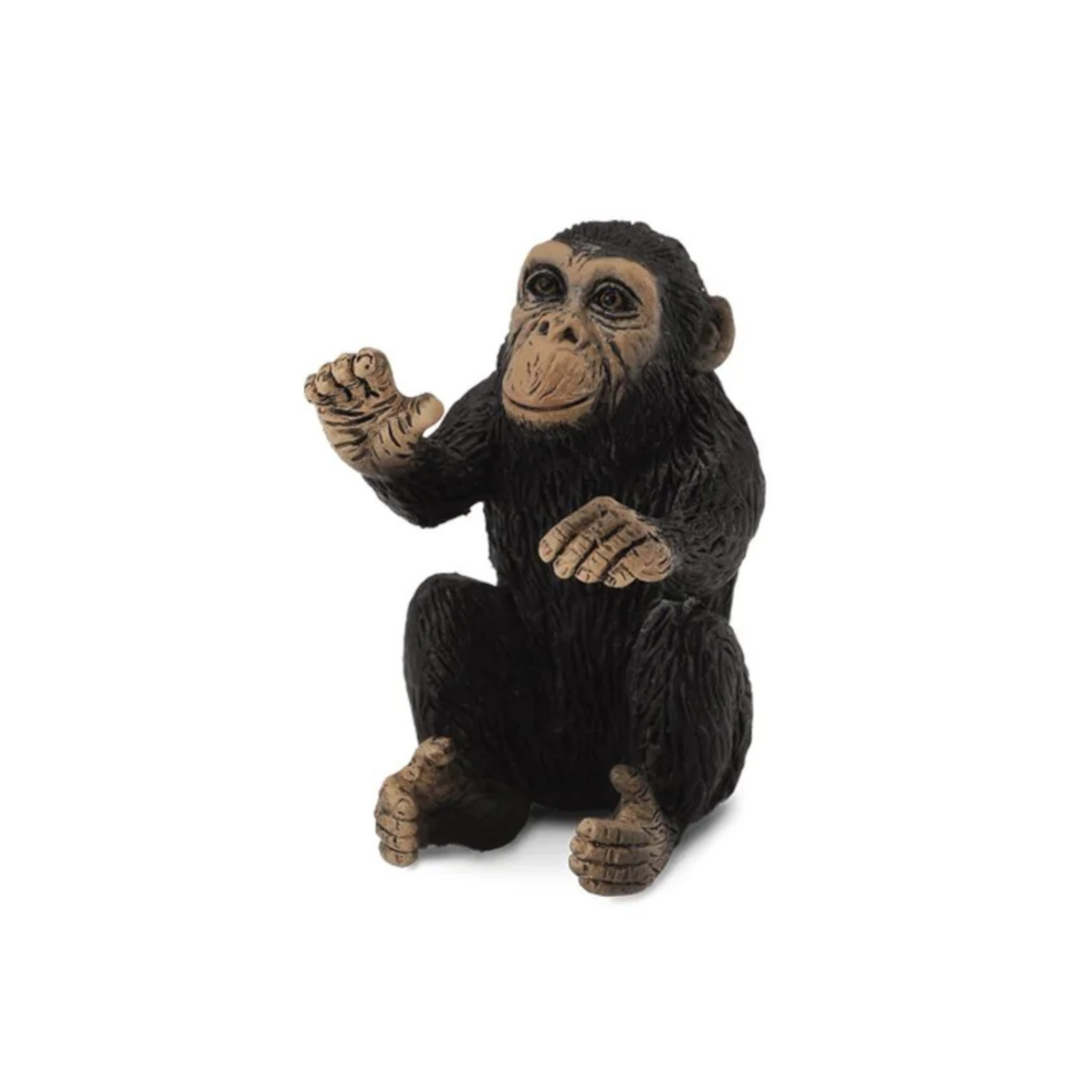 Chimpanzee Baby2
