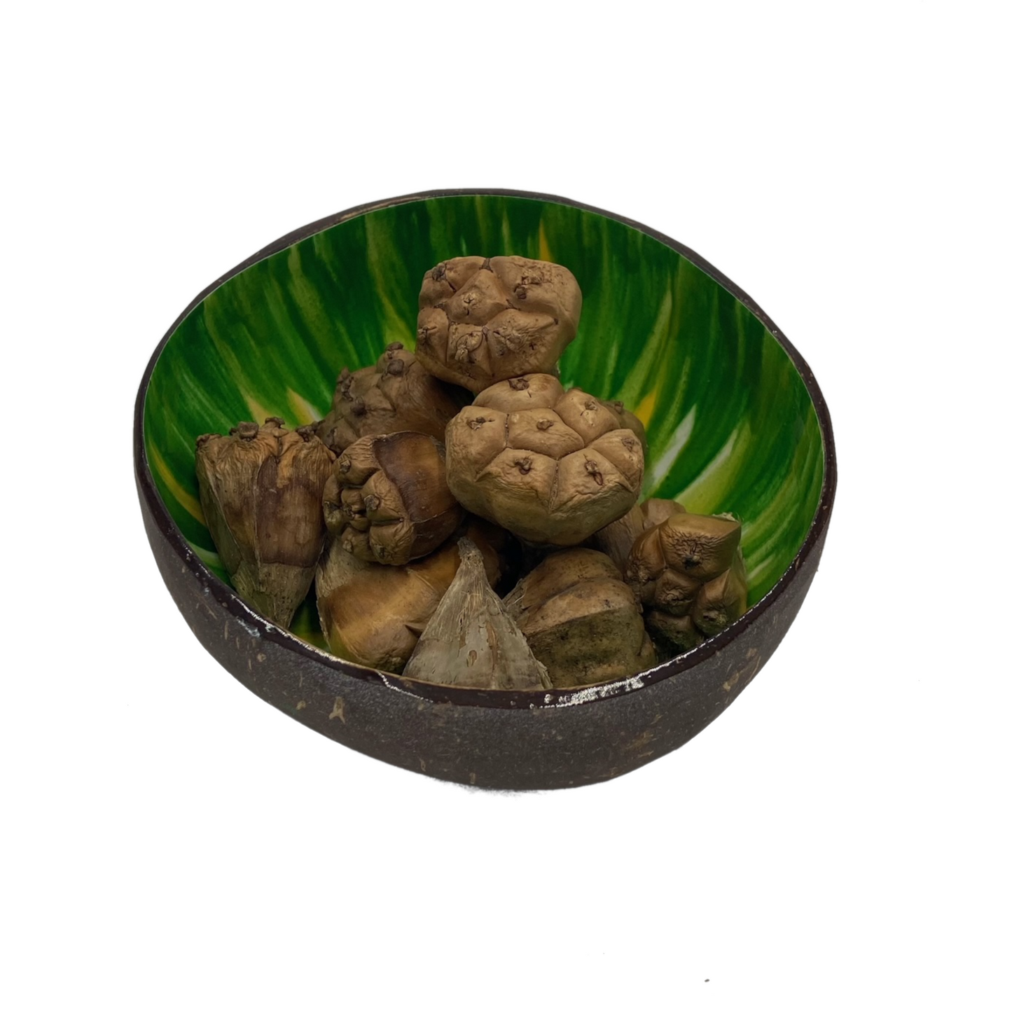 Coconut Cup / Bowl