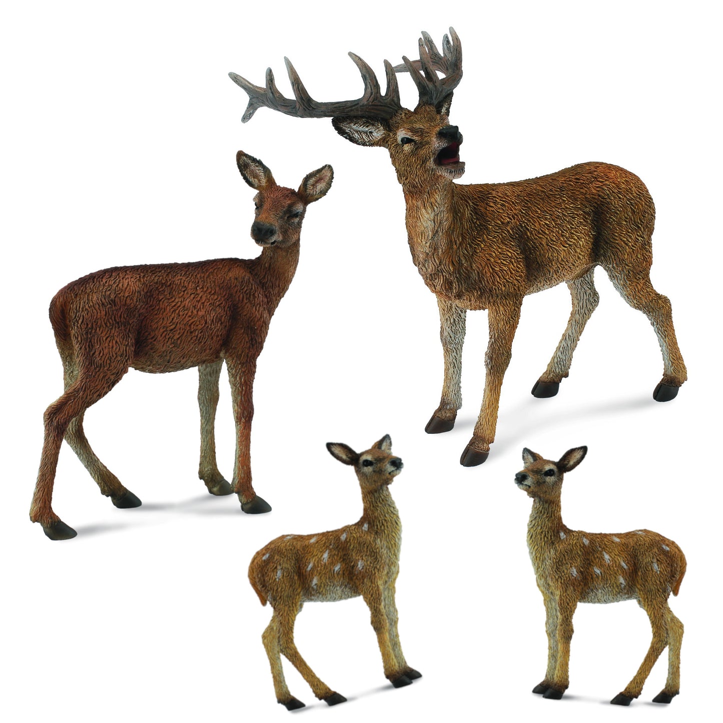 Deer Family