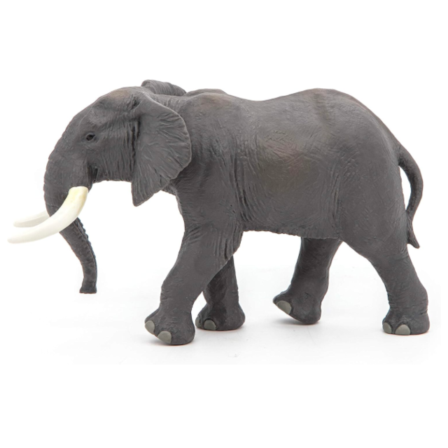 African Elephant