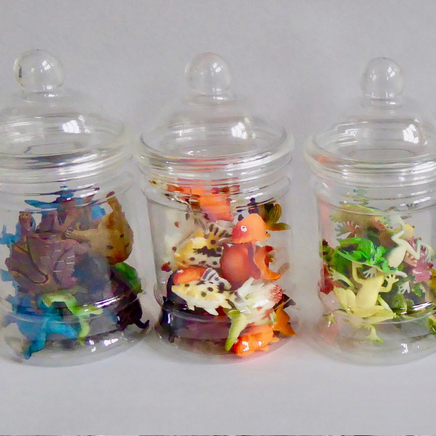 Set- Turtles (10pc)