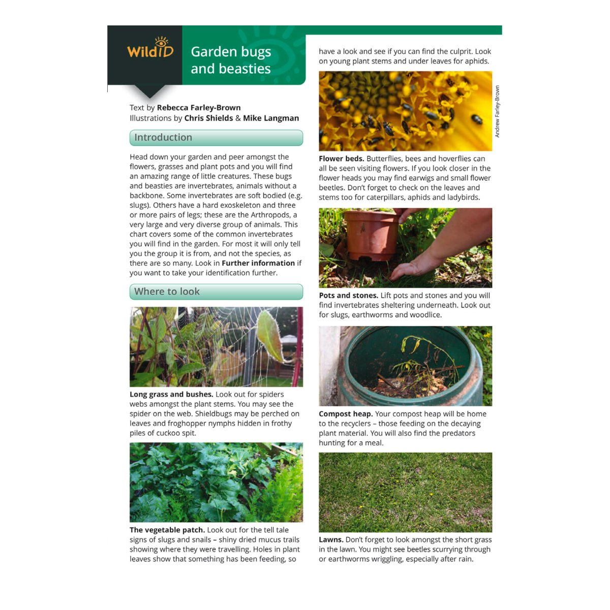 Garden Bugs and Beasties Guide