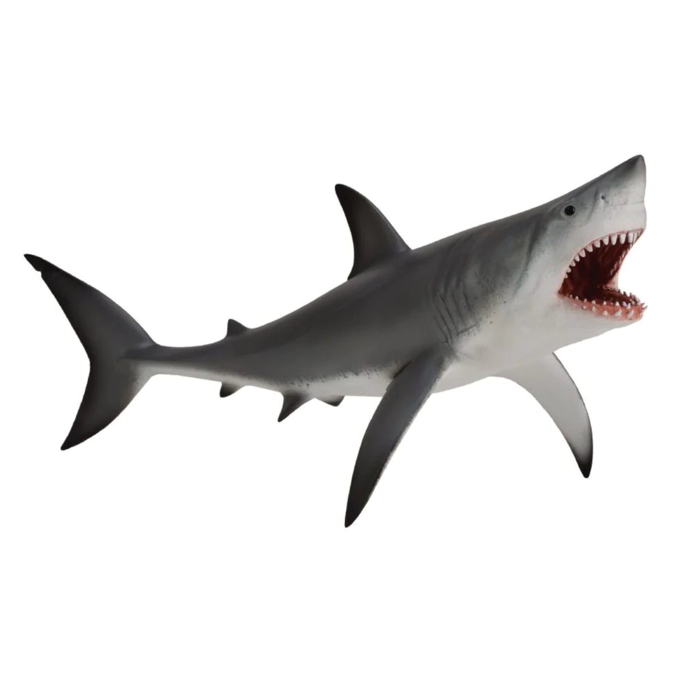 Great White Shark