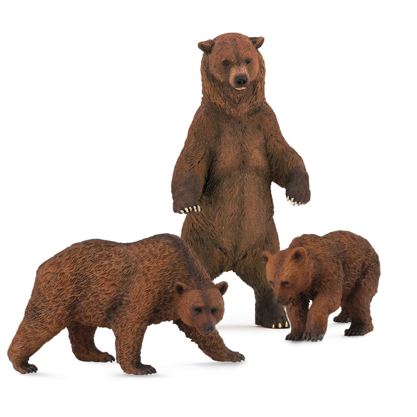 Grizzly Bear Family