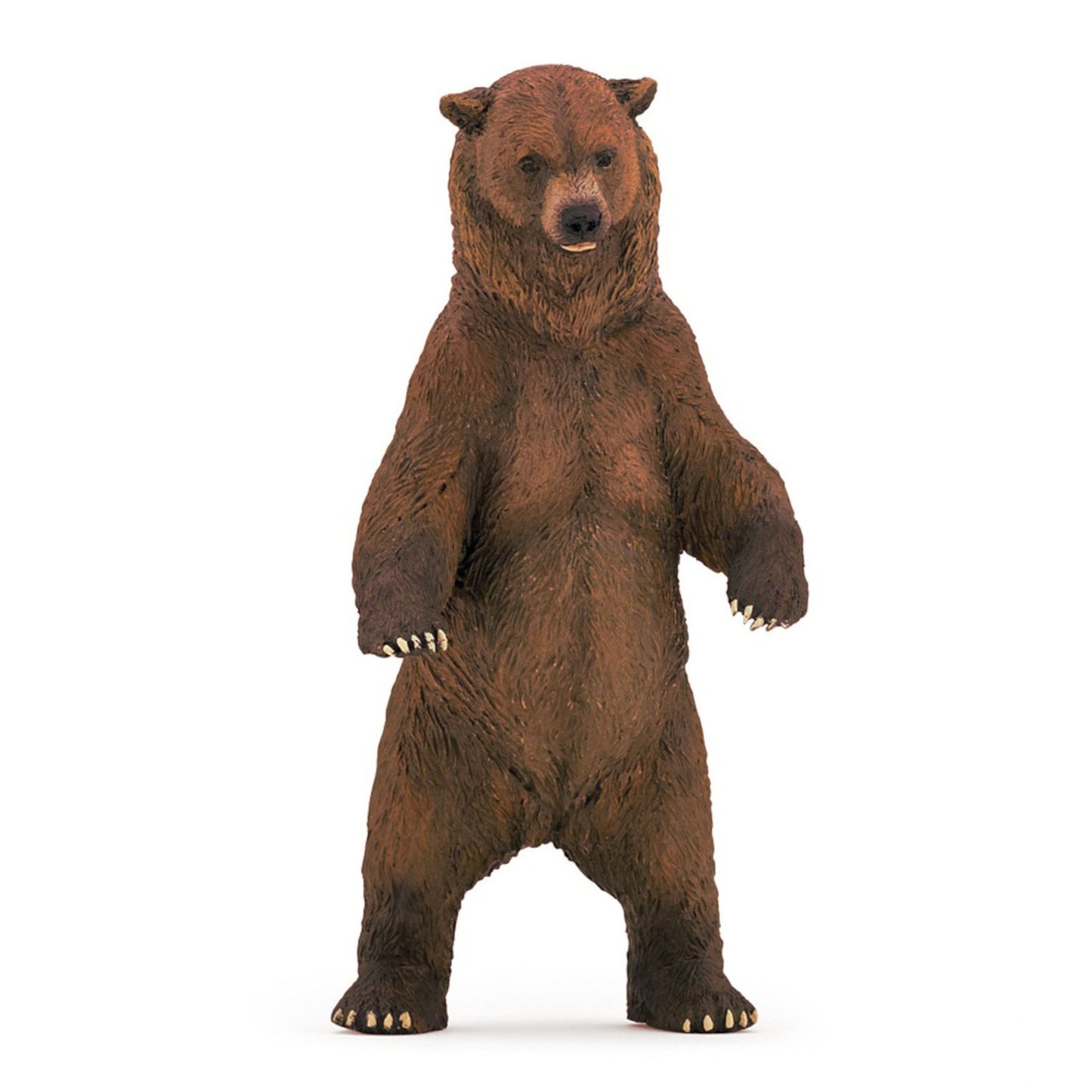 Grizzly Bear Standing
