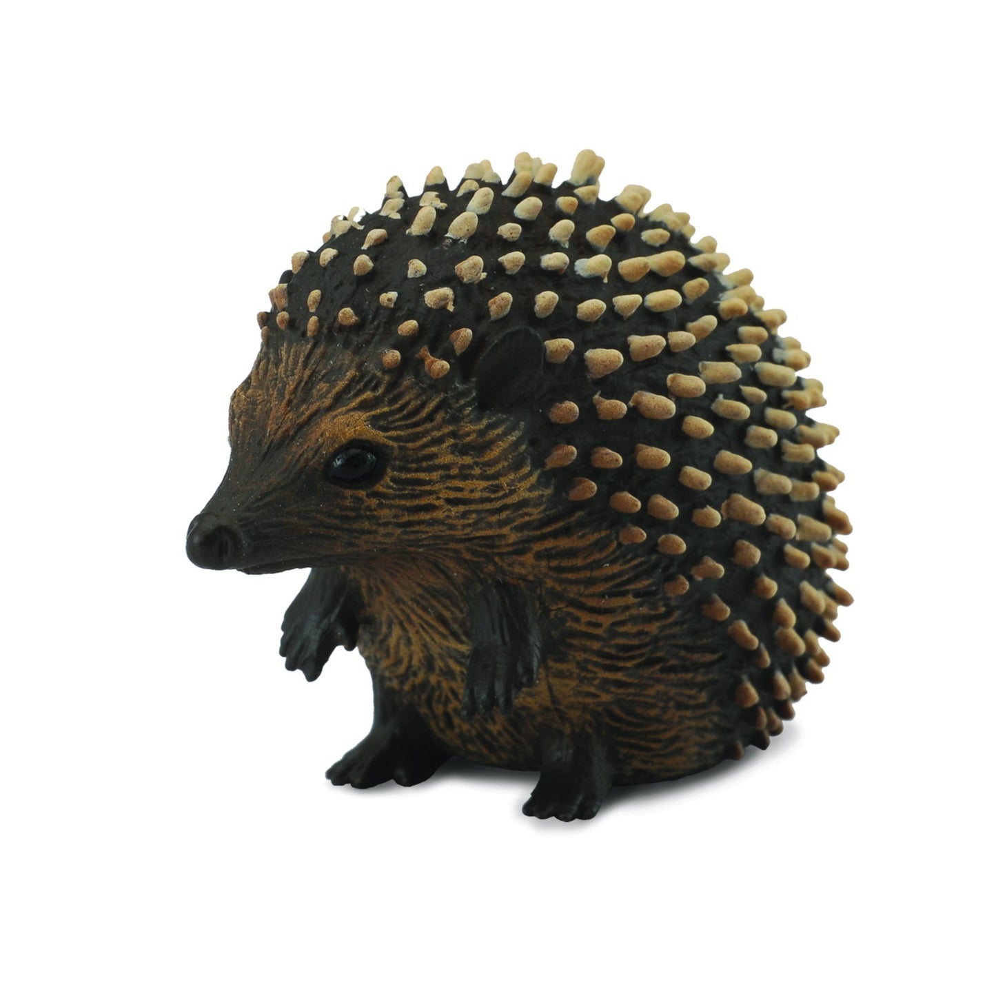 Hedgehog