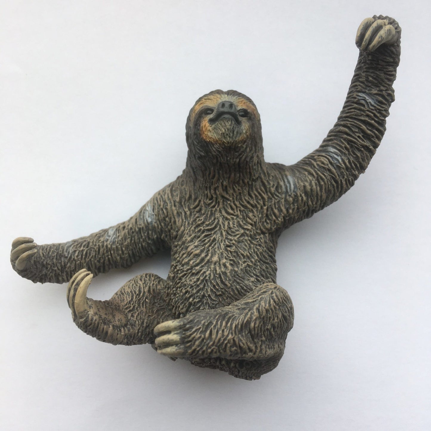 Sloth