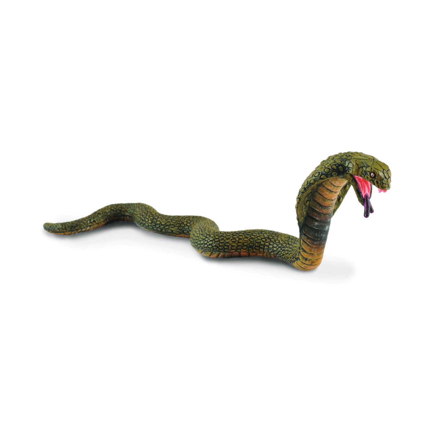King Cobra