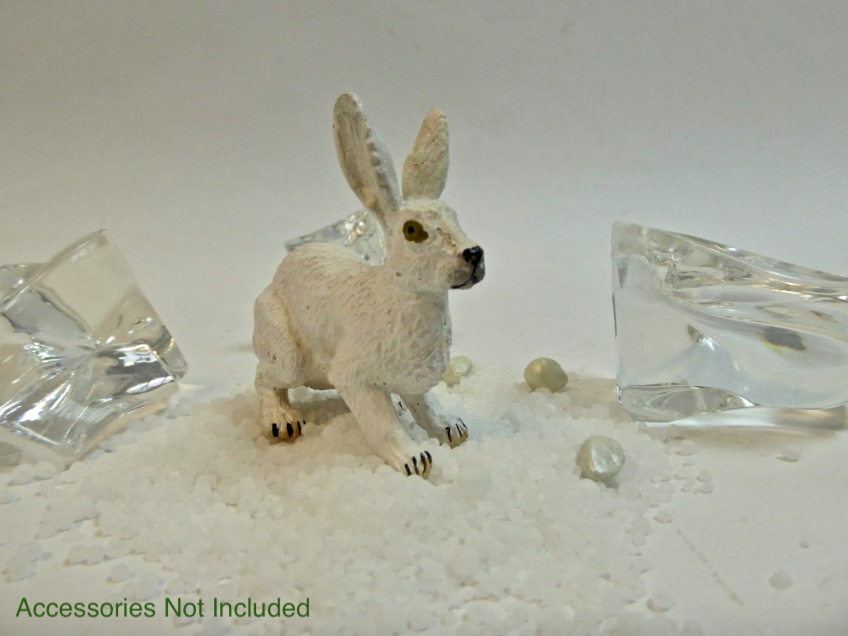 Arctic Hare