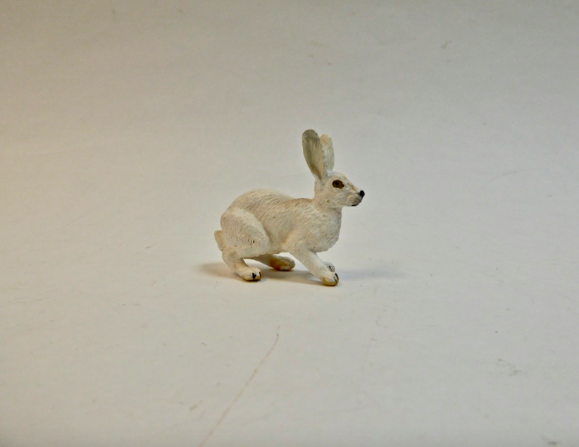 Arctic Hare