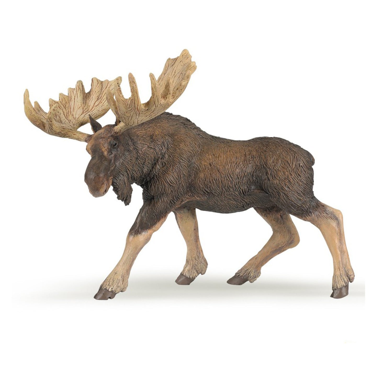 Moose