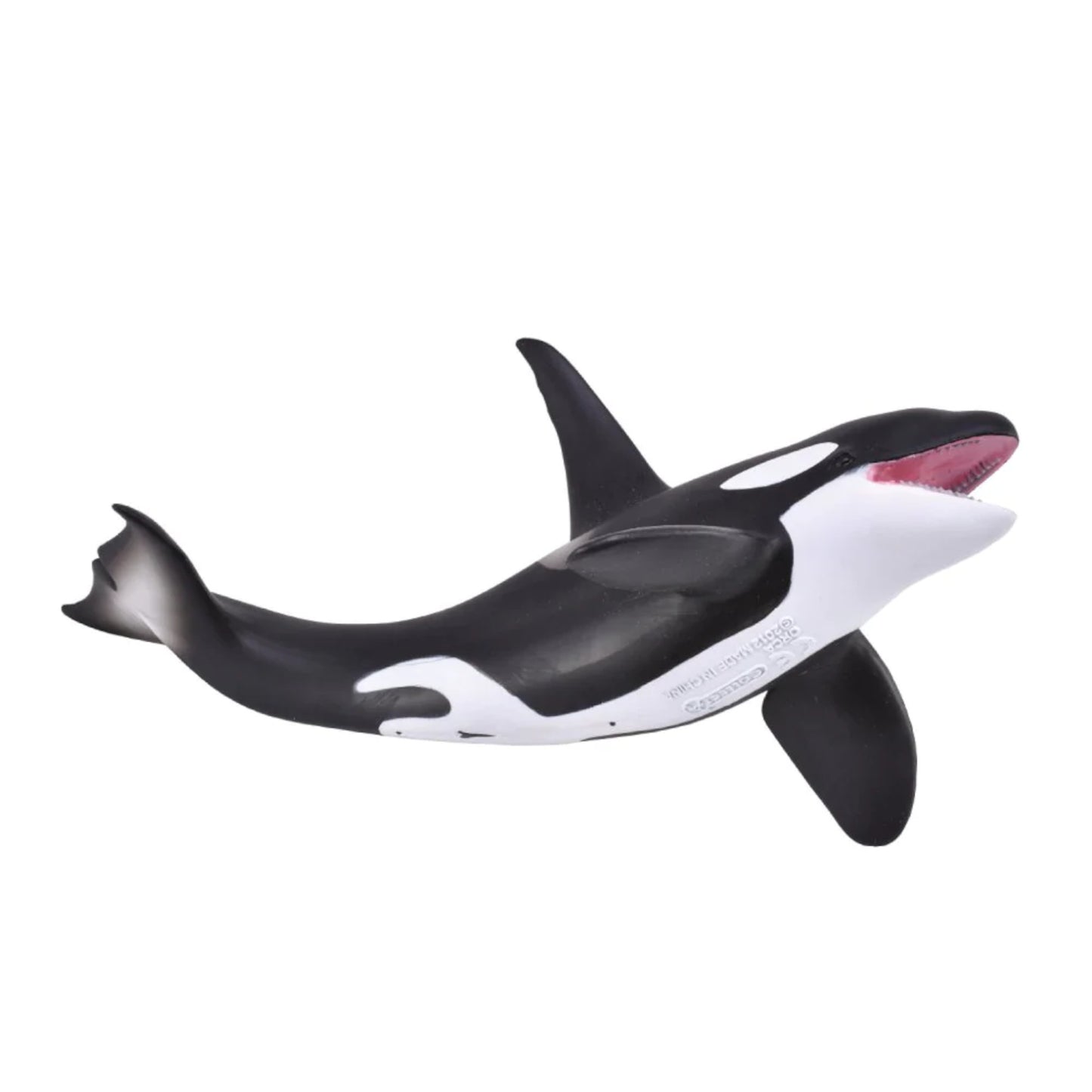 Orca Whale