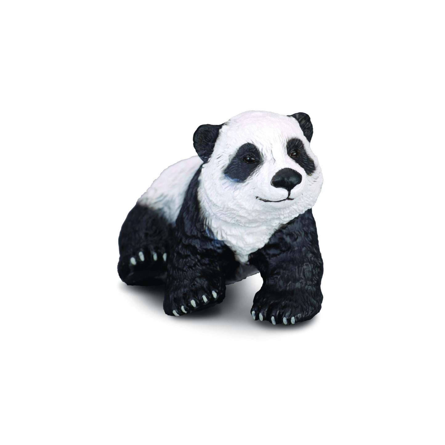 Panda Cub