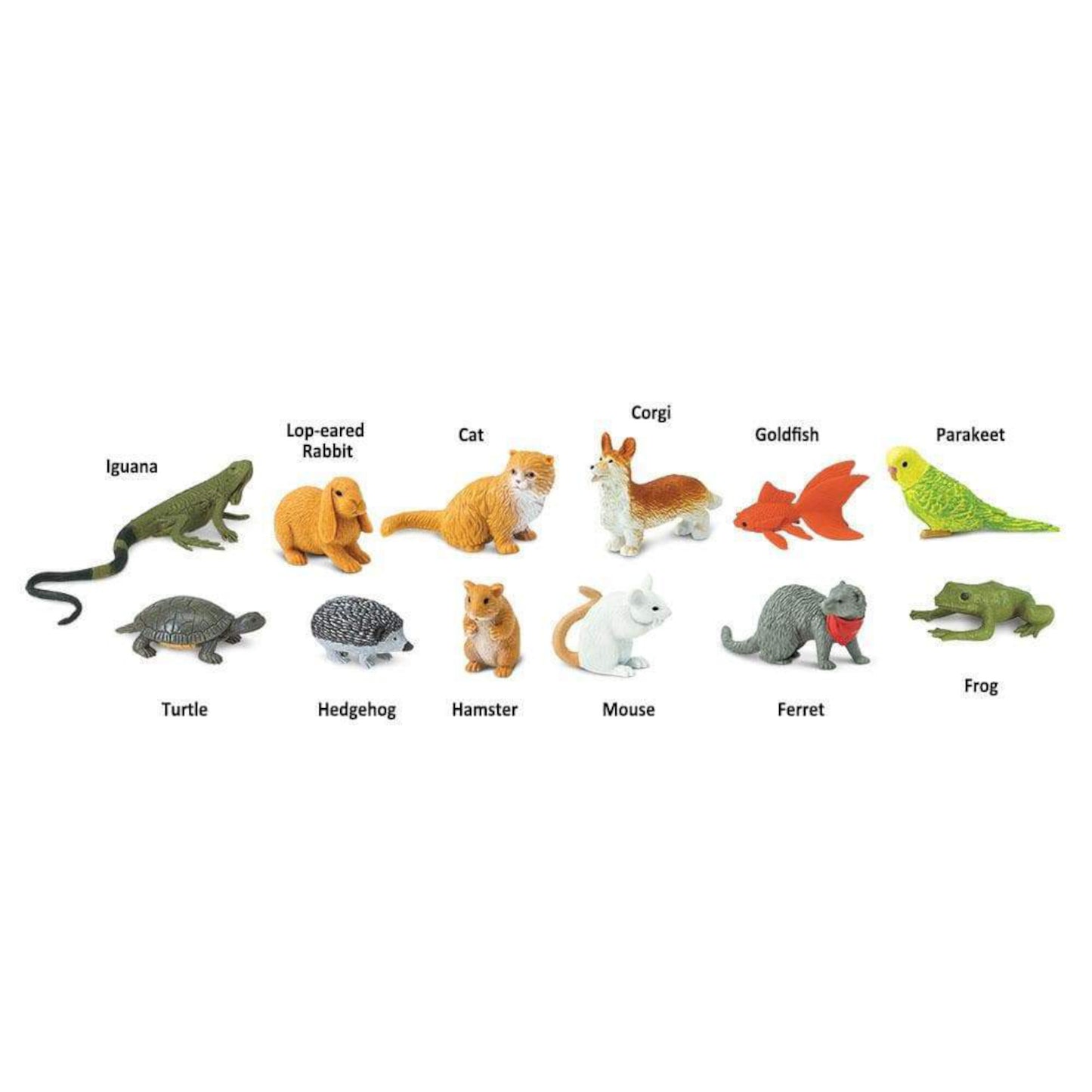 Pet Set2