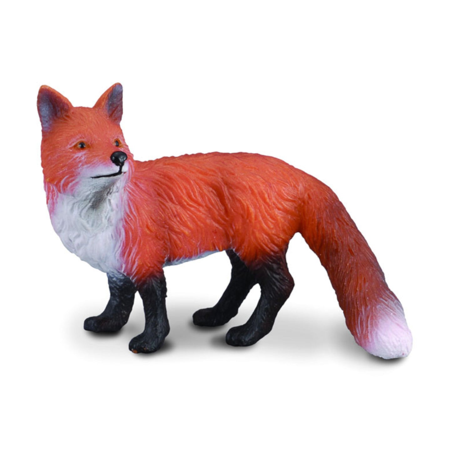 Red Fox