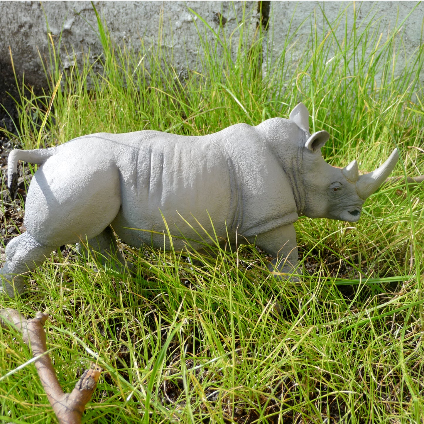 White Rhinoceros2