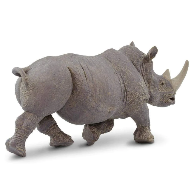Rhinoceros