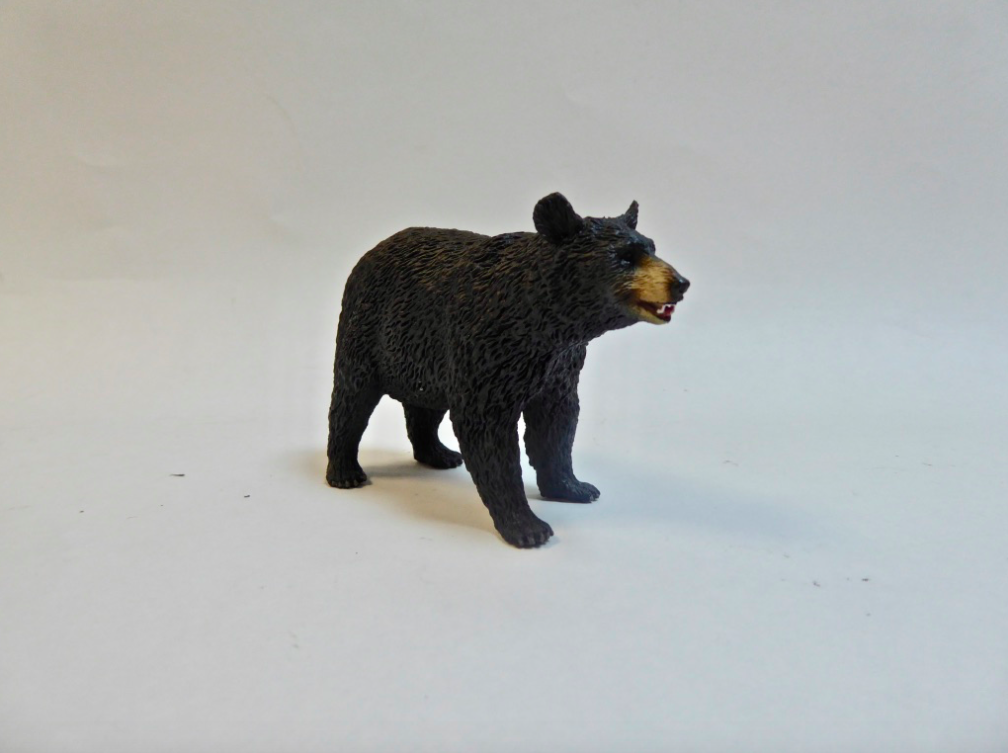 Set- Grizzly Bears