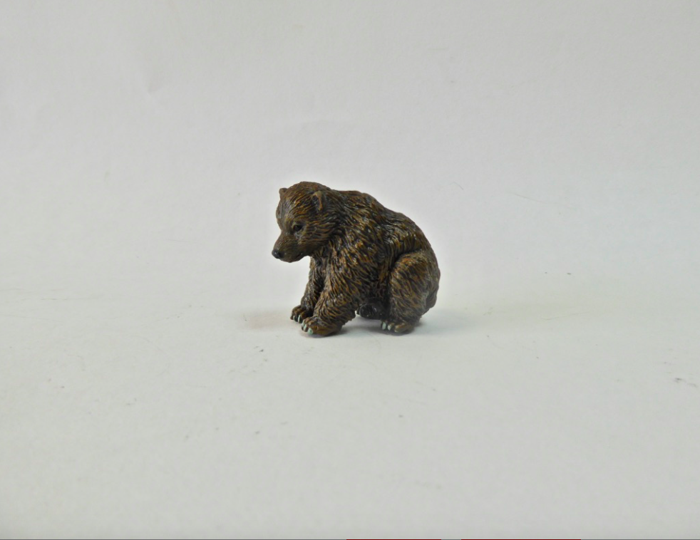Set- Grizzly Bears