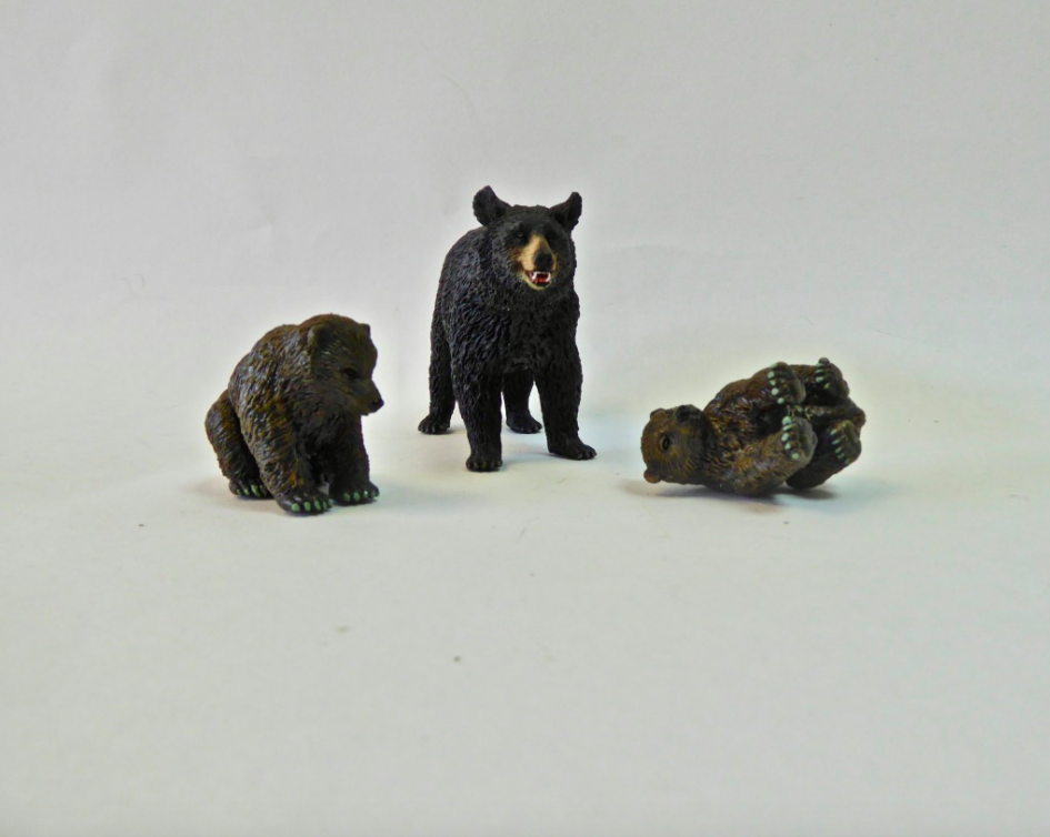 Set- Grizzly Bears