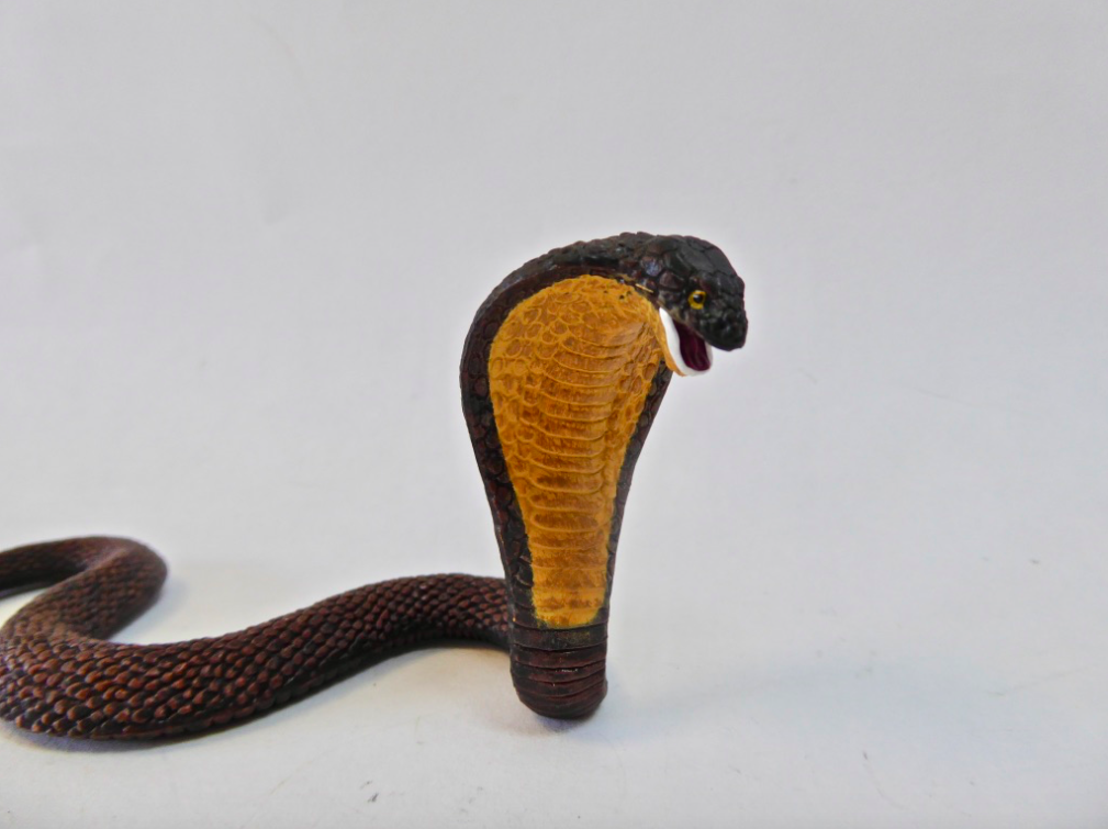 King Cobra