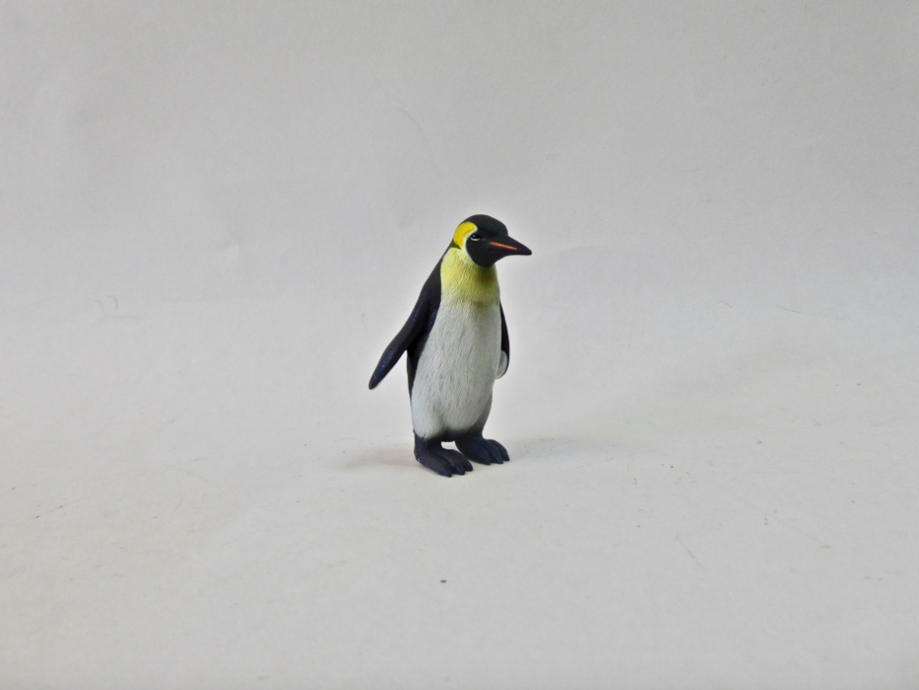Emperor Penguin