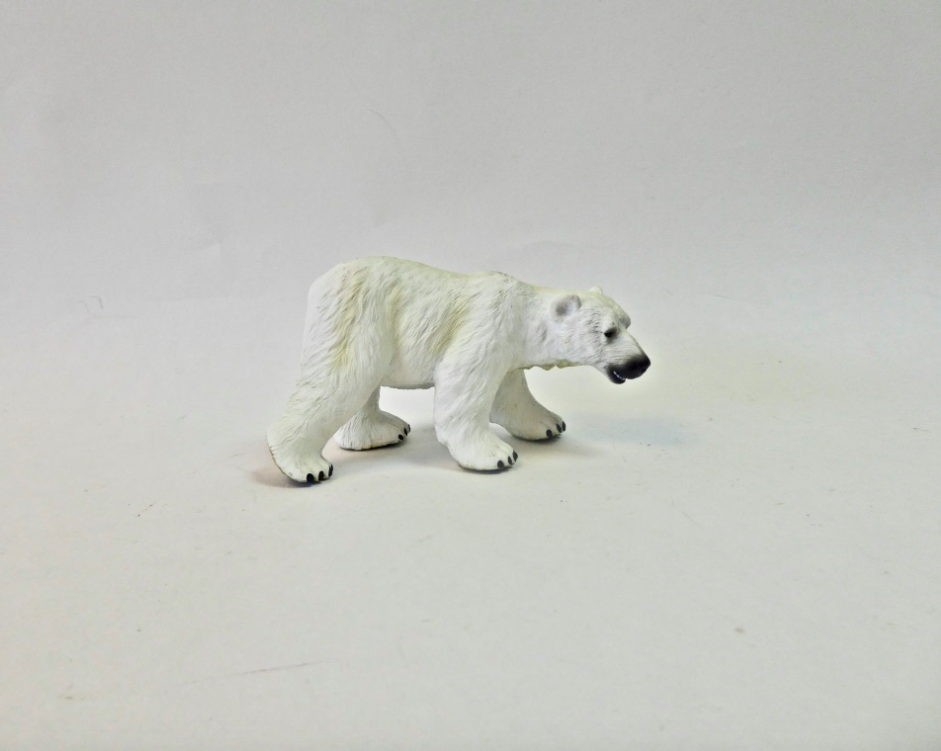 Polar Bear