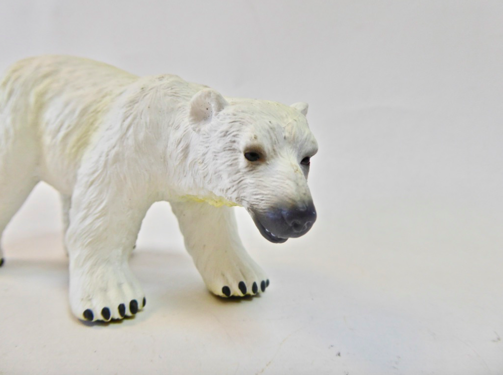 Polar Bear