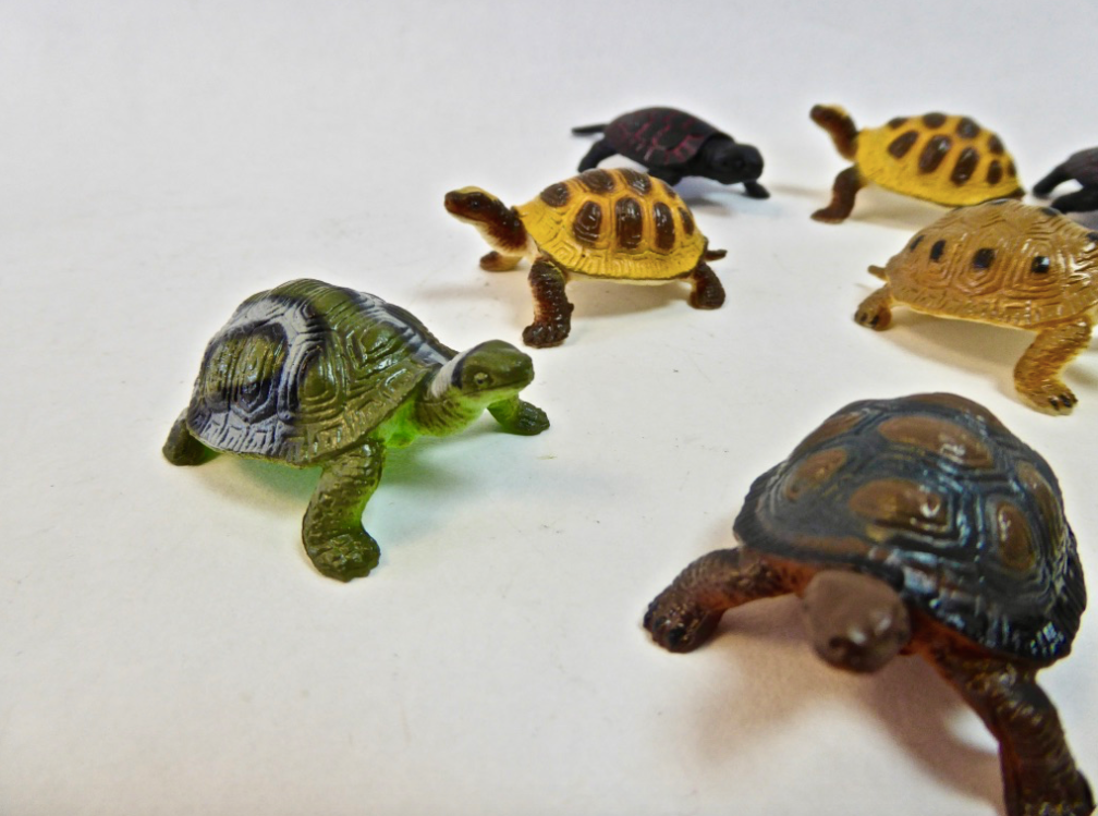 Set- Turtles (10pc)
