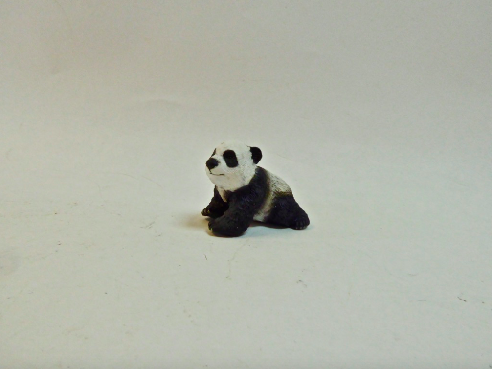 Panda Cub