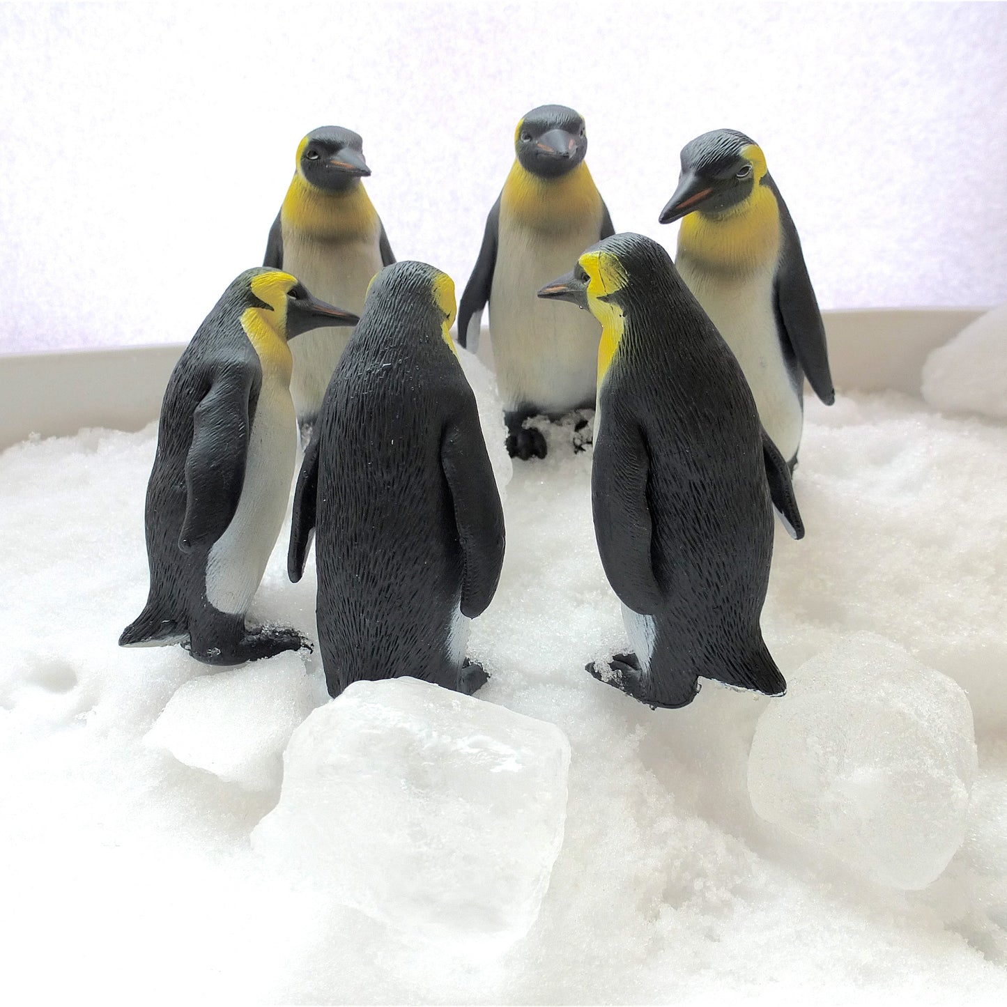 Emperor Penguin Set2