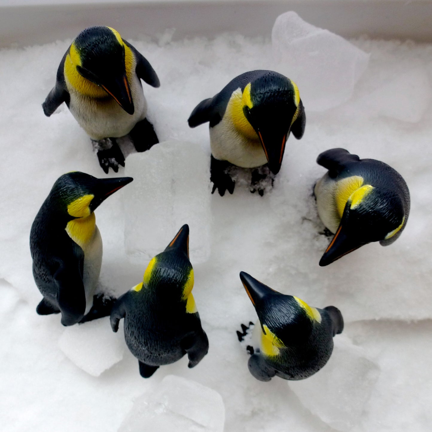 Emperor Penguin Set3