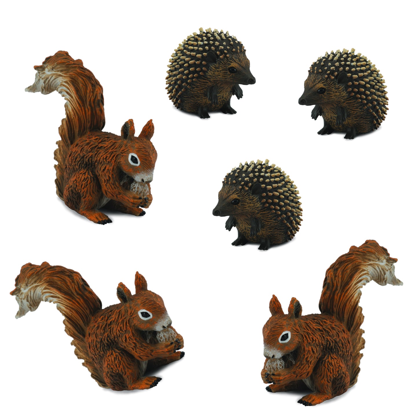 Squirrels and Hedgehogs